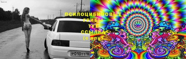 дживик Бугульма